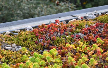 the cost of Edgarley green roof installation