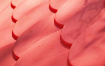 Edgarley plastic roof costs