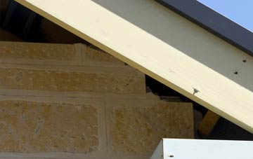 soffit repair Edgarley