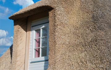 Edgarley thatch roof disadvantages